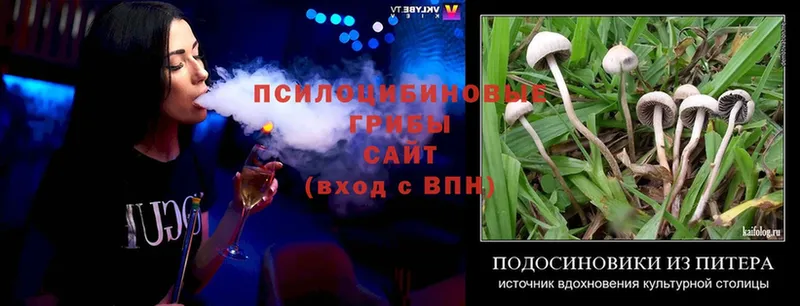 Псилоцибиновые грибы Magic Shrooms  нарко площадка состав  Байкальск  mega  